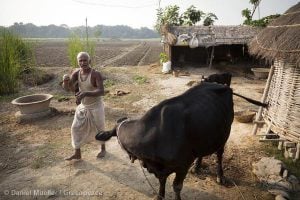 <p>India’s annual water withdrawal is the highest in the world, but its water productivity is one of the lowest. (Image from Greenpeace)</p>