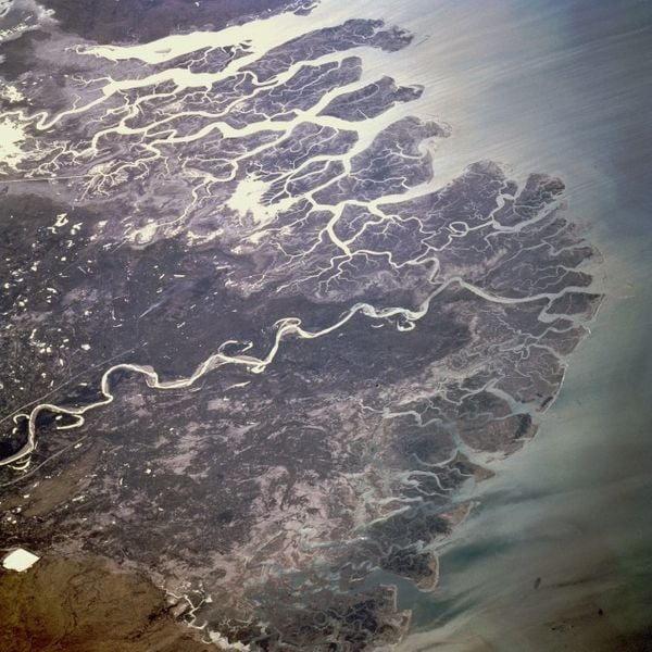 Photo of Indus Delta from Nasa