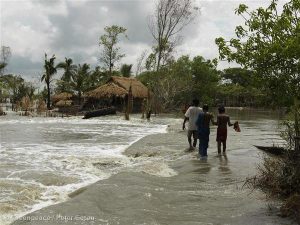 Sea Level Rise in India. Scientists estimate that over 70,000 people will be displaced from the Sundarbans due to sea level rise by the year 2030 (photo by Greenpeace)