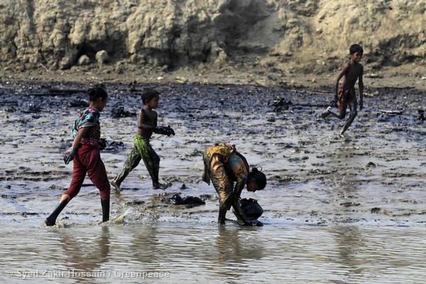 <p>Oil spill cleaning Operations in the Bangladesh Sundarbans, 2014 (© Syed Zakir Hossain / Greenpeace)</p>