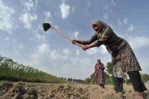 <p>Cross-border water cooperation in the basin has improved access to water for local farmers  (Photo: Asian Development Bank)</p>