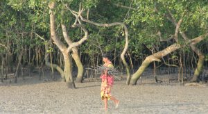 <p>A woman in the Sundarbans, the world&#8217;s largest mangrove forest</p>