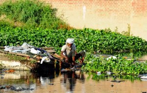 <p>Collecting plastic bottles and packets from the Yamuna for recycling</p>