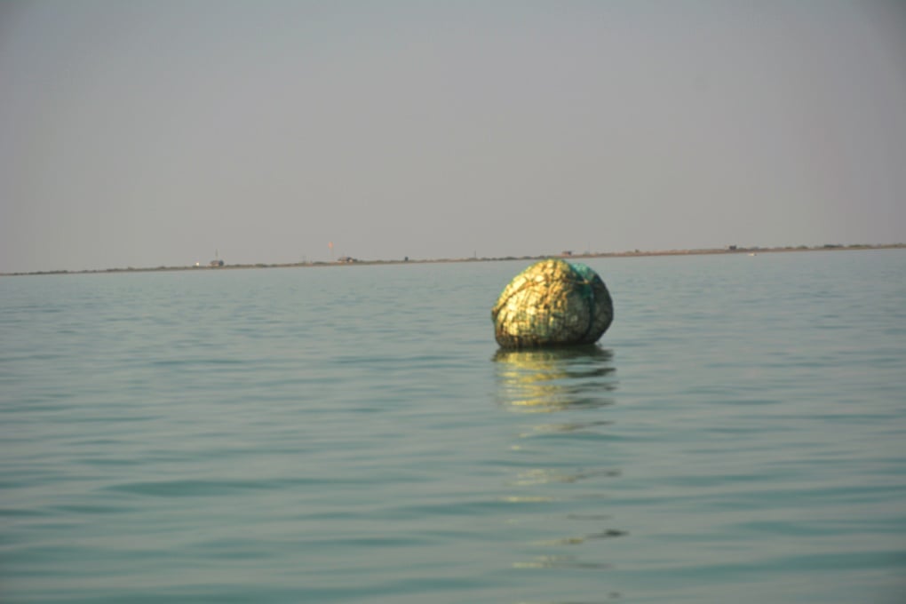 Banned gill nets can be seen everywhere in the Indus delta [image by Amar Guriro] 