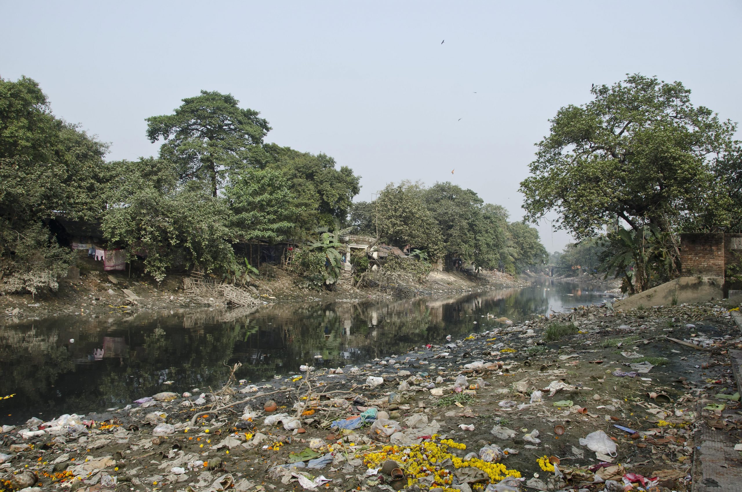 Rubbish on the banks of the Adi Ganga