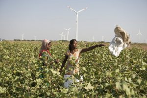 <p>Women farmers at a wind farm in Kutch [image by Danish Wind Industry Association / Flickr]</p>