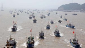 <p>Chinese fishing fleet in Zhoushan (photo credit: Xinhua)</p>