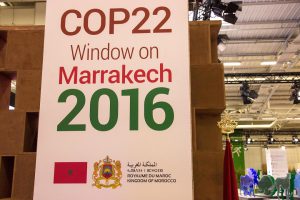 <p>At Marrakech the US seems to be slowly hardening its positions [image by Climate Action Org]</p>