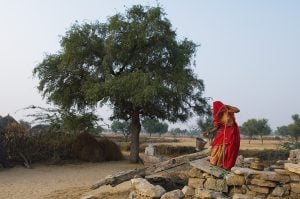 <p>Rajasthan during a drought. The government hopes a crisis narrative around water will deflect criticism away from poor water management [image by Knut-Erik Helle]</p>