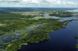 <p>Two-thirds of the Aichi Biodiversity Targets – 20 globally agreed goals to address biodiversity loss – are at risk of not being met by the 2020 deadline (Image by Neil Palmer / CIAT)</p>