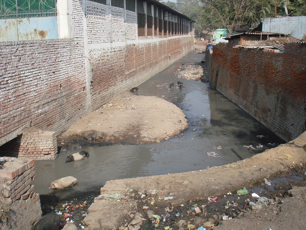 <p>Drain carrying toxic effluents to the Ganga in Kanpur [image by Juhi Chaudhary]</p>
