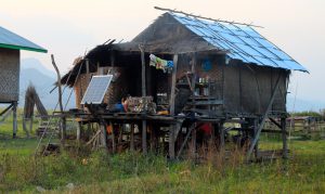 <p>A new initiative hopes to protect Myanmar&#8217;s teak forests whilst providing clean electricity and support for local livelihoods (Image: Beth Walker)</p>