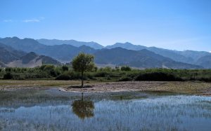 <p>The Indus could be a river of peace [image by Karunakar Rayker]</p>