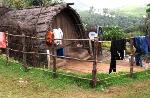 <p>Although they are 8% of the population, adivasis account for 40% of those displaced by development projects in India [image by Indianature SG]</p>