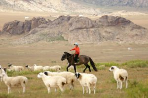 <p>Japanese pastoral experiments in the 1930s transformed Inner Mongolia&#8217;s steppe ecosystem[image by: elbrus]</p>