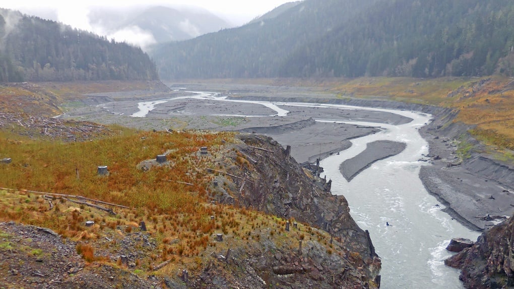 <p>Vegetation is returning to this Elwha River valley in Washington state after two dams were removed [image by: Olympic National Park/Flickr]</p>