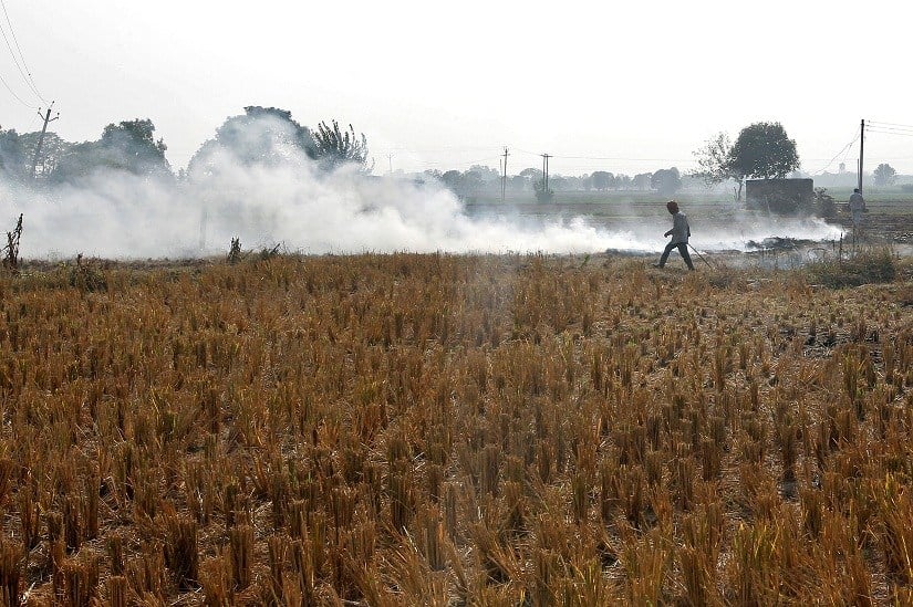 A man burns paddy waste stubble in a field on the outskirts of Chandigarh, India, on November 8, 2016 [image by: Reuters/Ajay Verma]
