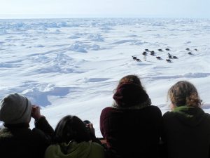 <p>On a mission. The 80 scientists aboard the Homeward Bound ship believe that climate change is one of the greatest threats the world faces today [image by: Homeward Bound]</p>