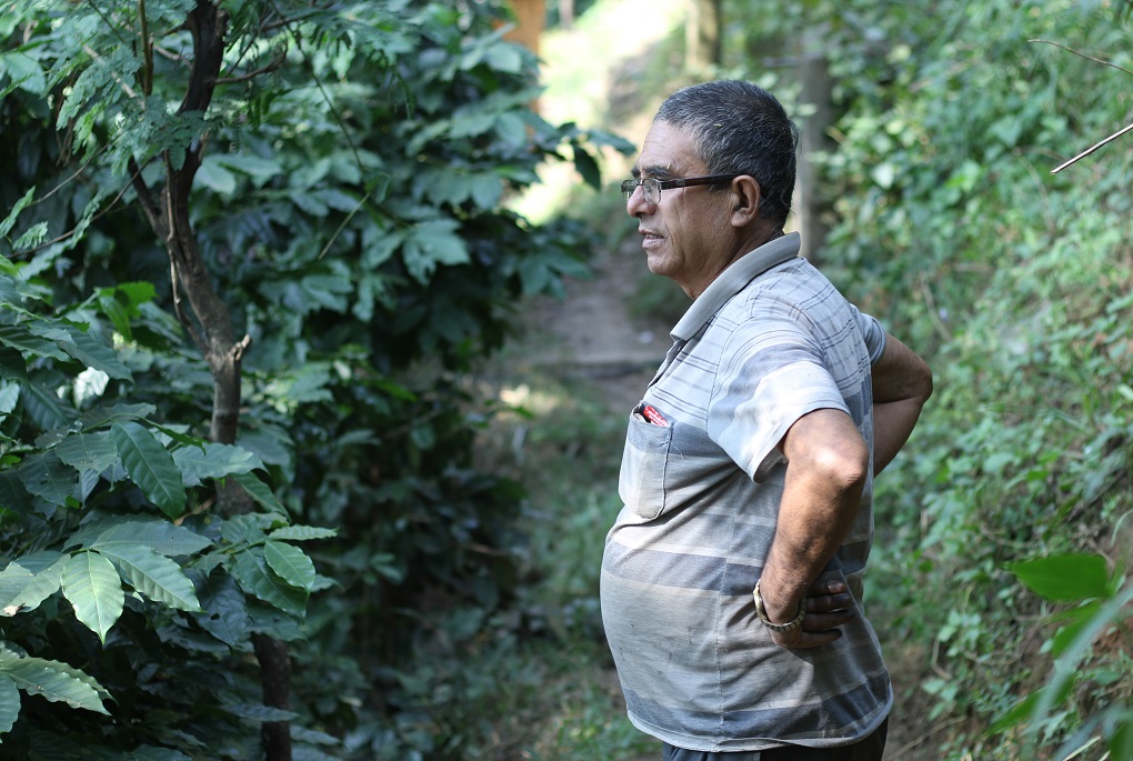 Ramesh Adhikari ponders the future of his coffee crop [image by: Abhaya Raj Joshi]
