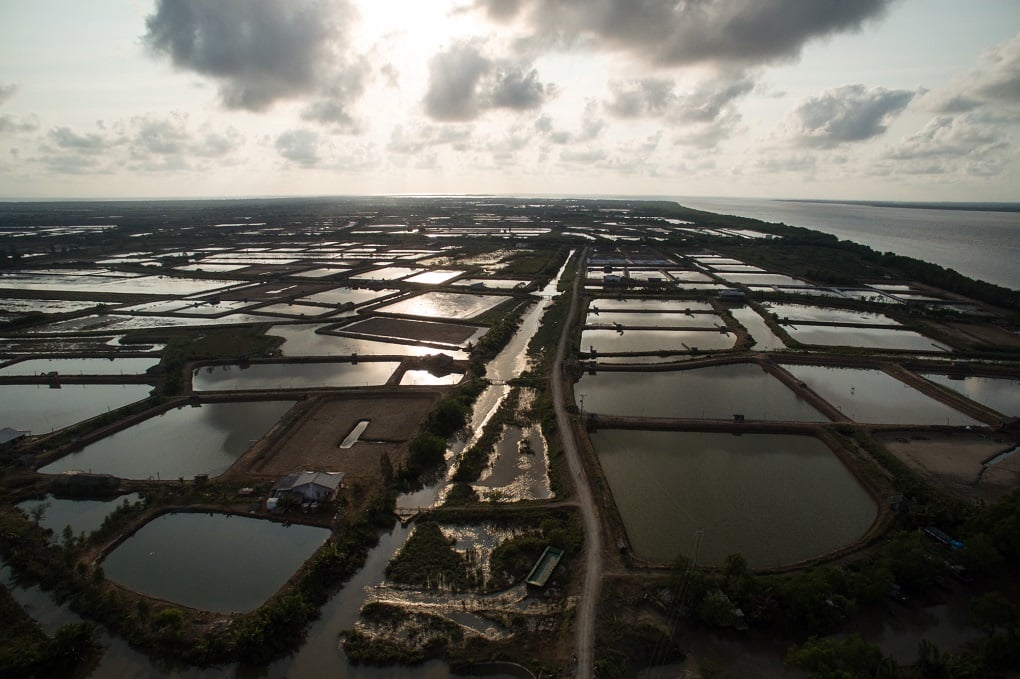 <p>Aerial view of the Mekong Delta often referred to as the rice bowl of Vietnam [image by: Gareth Bright]</p>