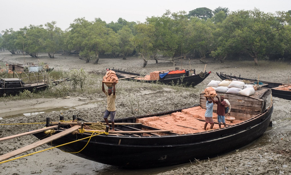 <p>As agricultural productivity flounders in the Sundarbans, unskilled labour is all the residents have to sell [image by: Mike Prince]</p>