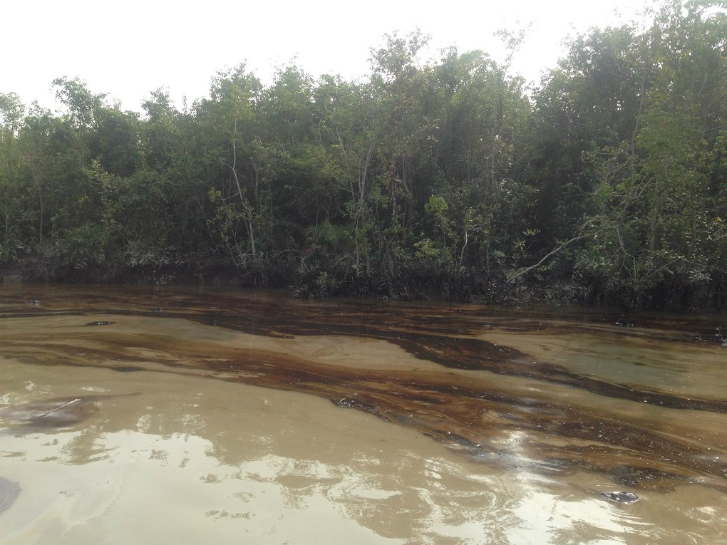 <p>The polluted rivers near the Sundarbans [image by: Pinaki Roy]</p>