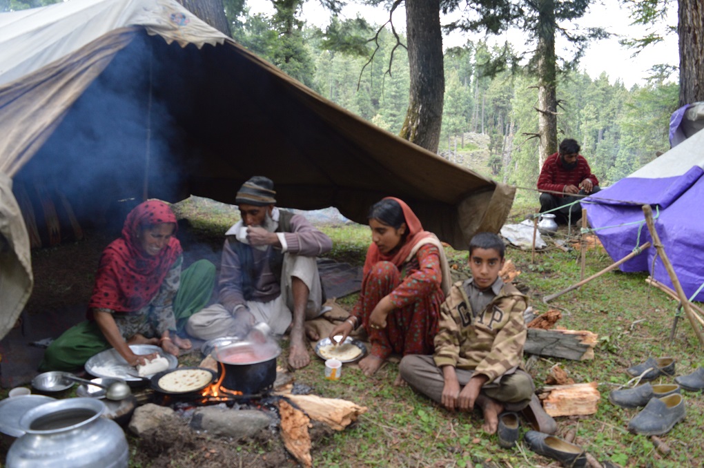 The family of Mohammad Iqbal Bijran enjoying Sabaz Chai (salt tea), now that he has reached the campsite with the animals [image by: Athar Parvaiz]