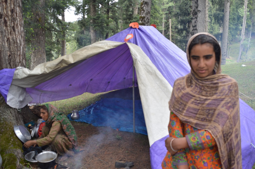 Mehnaz Kousar, part of the Bakarwal group, standing in front of a tent. 