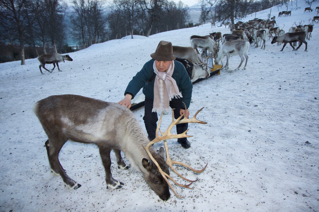 <p>Changlin Xu (Yak herder from the Tibetan Autonomous Region meets his first reindeer [image: courtesy ICIMOD]</p>