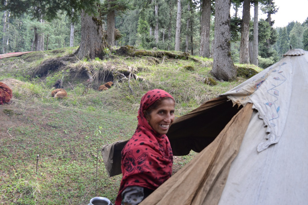 Bakarwal nomad woman entering into her small tent-house near the Doodganga stream [image by: Athar Parvaiz]