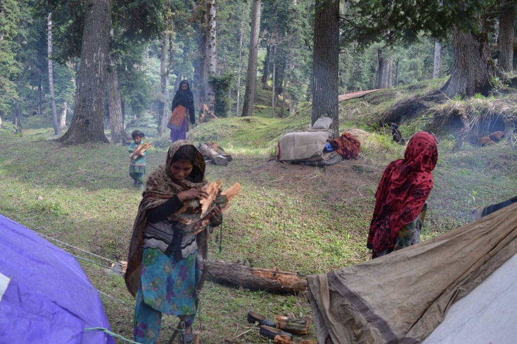 Bakarwal kids help their mothers carrying the fire-wood from the surroundings at a camping site [image by: Athar Parvaiz]