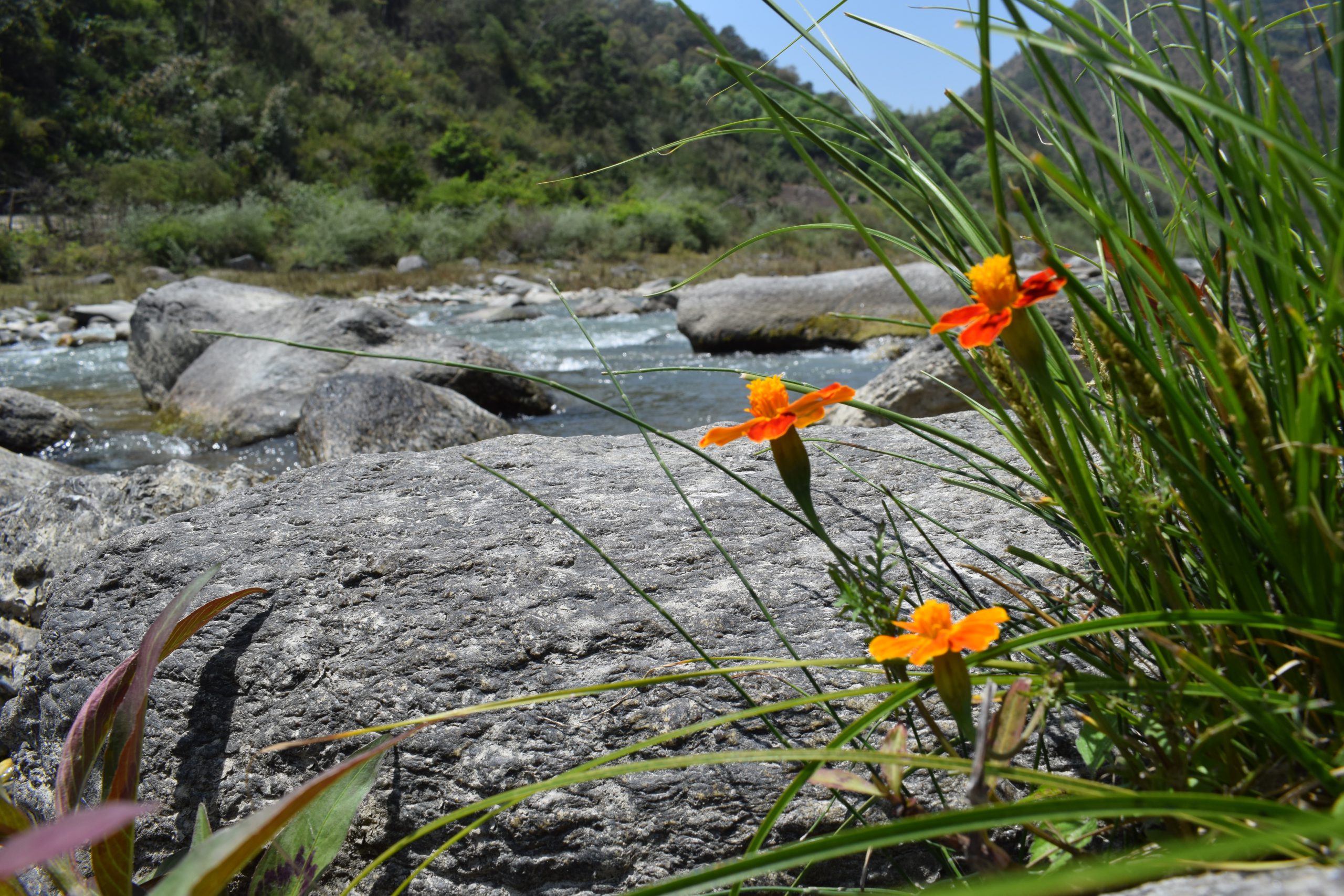 <p>The Tenga river valley in Arunachal Pradesh, one of the world&#8217;s last unexplored biodiversity hotspots (All photos by Chandan Kumar Duarah)</p>
