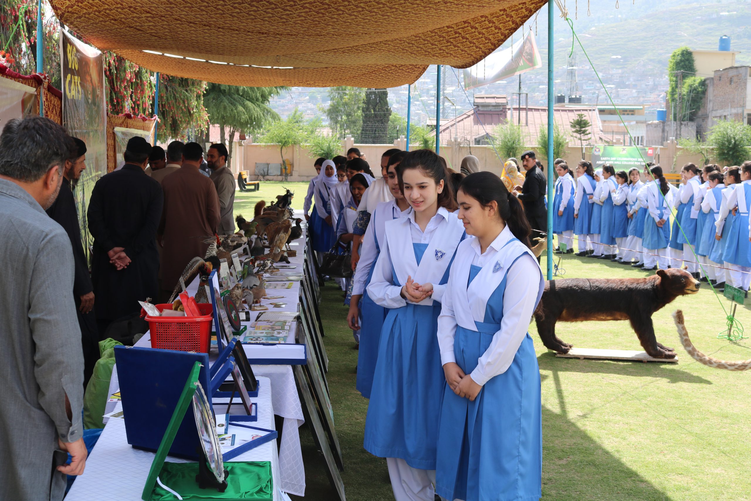 <p>Students of Presentation Convent School Peshawar look at stuffed wild species displayed during their visit to the Wildlife Department of Khyber Pakhtukhwa as part of awareness raising field tour [image by: Adeel Saeed]</p>