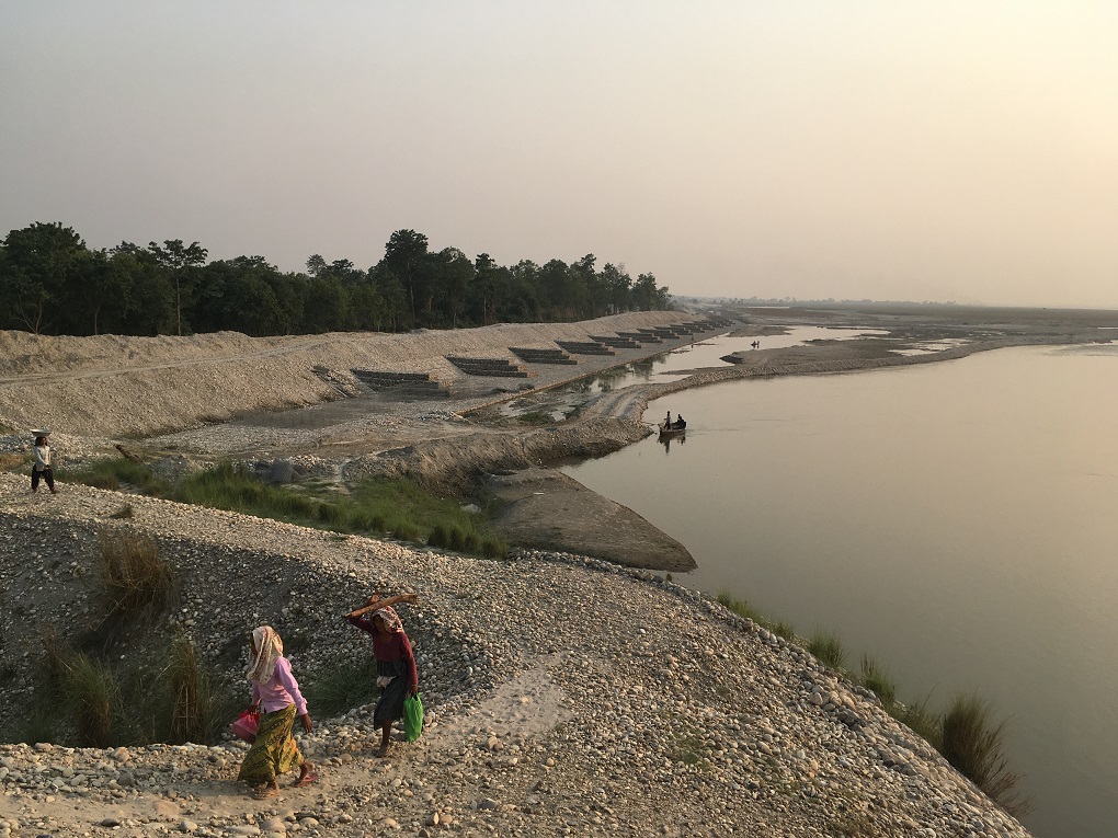 An embankment with spurs along the Karnali river near Rajapur, Bardiya [image by: Peter Gill]