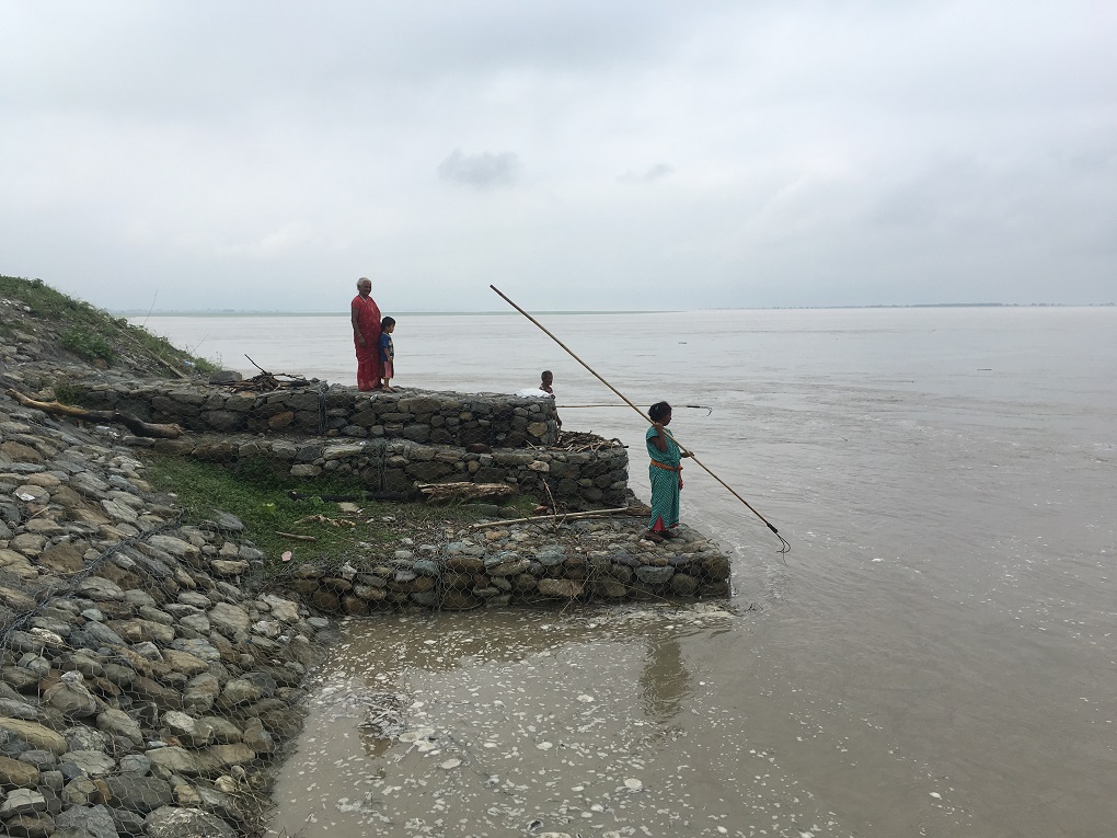 locals collecting driftwood along Koshi river Bihar embankment