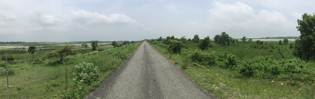 The embankment (with road on top) near Kusaha in July 2018. The level of land outside the embankment (left) is several meters lower than the land inside (right) [image by: Peter Gill]