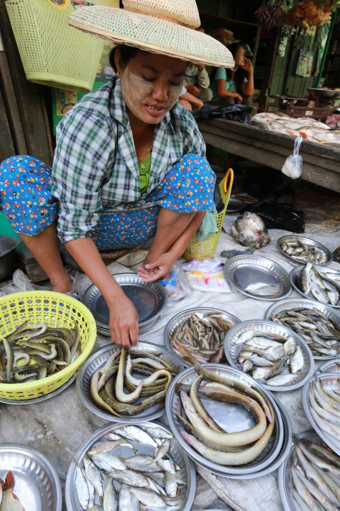 Woman selling wild fish capture at a market in Kale town