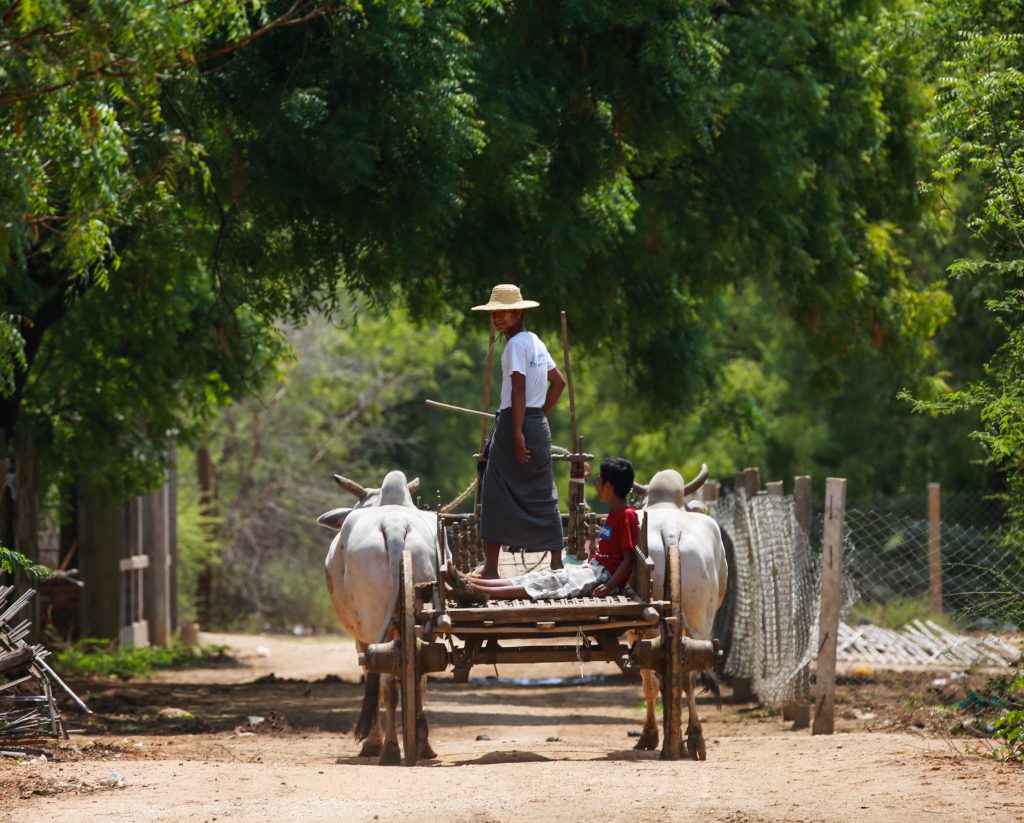 A farmer on his way to the fields in the upper Chindwin River Basin 