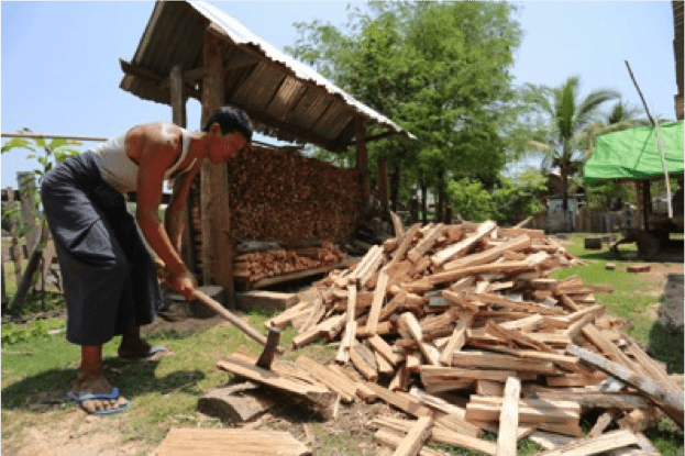 A villager copping firewood in Kalewa township, a Chindwin River basin forest