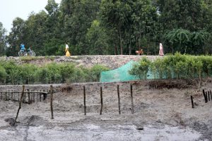 <p>As tidal river Durgaduani tears into their earthen embankments with every high tide, islanders living deep inside the Indian Sundarbans desperately try to save farms and homes [image by: Manipadma Jena]</p>