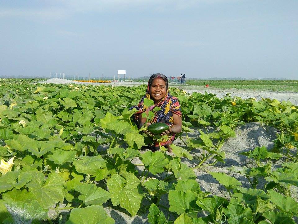 <p>Pumpkin farming on charlands has brought people out of poverty in Bangladesh [image by: Farhana Parvin]</p>