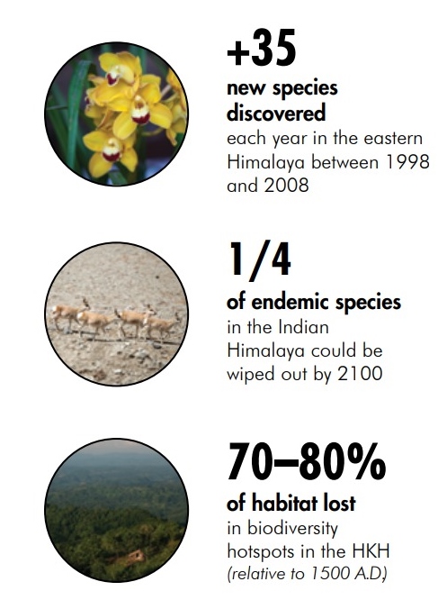 Table: 35 new species discovered each year in eastern Himalaya, 1/4 of endemic species could be wiped out, 70-80% habitat lost 