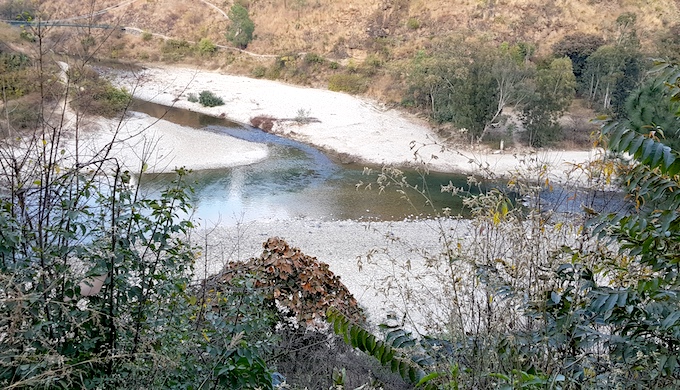  Ramganga, one of the largest forest rivers in Uttarakhand [image by: Hridayesh Joshi]
