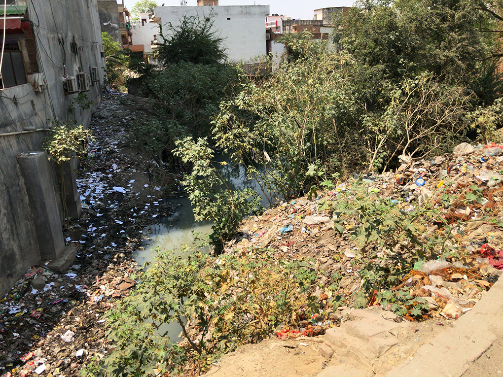 garbage along the Ganga
