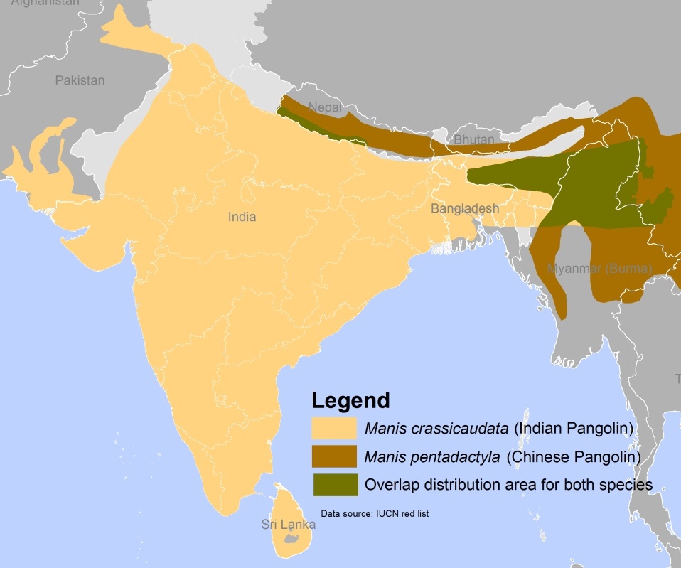 map of pangolin distribution