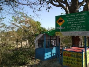 <p>The heavy traffic on NH-58 has made life difficult for the large animals of Rajaji National Park [image by: Rishika Pardikar]</p>