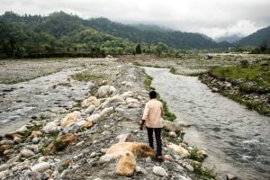 <p>Bhutan’s Sarbhang Chu river is called the Saralbhanga after it crosses into India to meet the Brahmaputra river [image by: Shailendra Yashwant]</p>