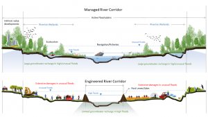 diagram of managed river corridor in Pakistan and engineered river corridor