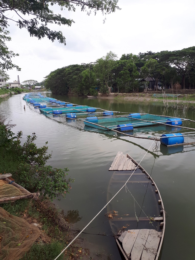 Cage-farming of fish in open water bodies such as rivers and wetlands. 