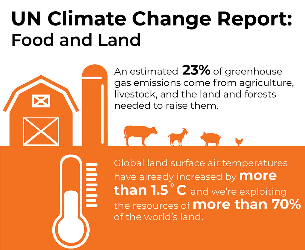 UN Climate Change Report: Food and Land